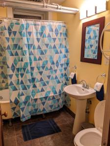 uma casa de banho com uma cortina de chuveiro e um lavatório em 2 Bedroom Family & Pet Friendly Character Building em Winnipeg