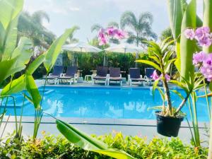 a pool at a resort with chairs and plants at Andawa Lanta Resort in Ko Lanta
