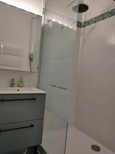 een badkamer met een douche en een wastafel bij Très beau studio quartier Cathédrale bord de Loire in Tours