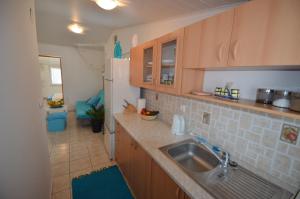 Kuchyň nebo kuchyňský kout v ubytování Apartment Delphin