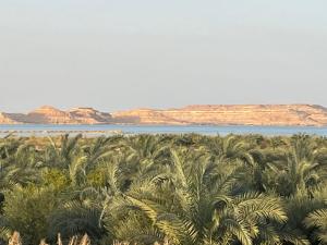 Фотография из галереи Bedouin Hotel в Сиве