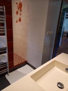 ein Bad mit einer Dusche und einem Waschbecken in der Unterkunft chambres et gites d'étretat in Étretat
