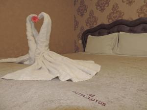 Foto dalla galleria di Hotel Lotus a Akhaltsikhe