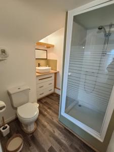 e bagno con servizi igienici e doccia in vetro. di Proche du Mont Saint Michel Appartement de vacances a Roz-sur-Couesnon
