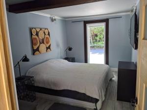 a blue bedroom with a bed and a window at Chalet lacbrome in Lac-Brome