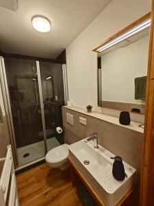 uma casa de banho com um WC, um lavatório e um chuveiro em Gasthaus Rotes Ross em Eckental