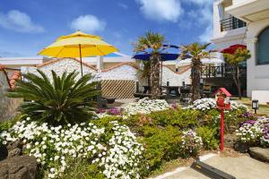 Vườn quanh Pension Haneul Tari