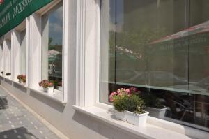 a store window with potted plants on the window sill at Hotel Gega in Berat