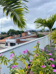 a view from the roof of a building with pink flowers at Suíte Festival de Parintins I in Parintins