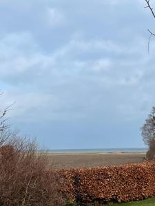 Afbeelding uit fotogalerij van KragenæsHus in Torrig
