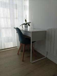 een bureau met een stoel en een potplant bij Estudio Bolboreta in Santiago de Compostela