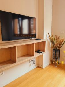 a flat screen tv on a shelf in a living room at Andrea A blok in Novi Beograd