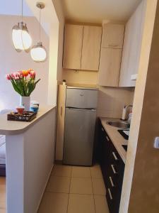 a small kitchen with a refrigerator and a sink at Andrea A blok in Novi Beograd