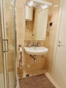 a bathroom with a sink and a shower at Andrea A blok in Novi Beograd