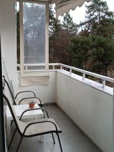 Fotografie z fotogalerie ubytování City Apartment v destinaci Goce Delčev + 32 fotografií