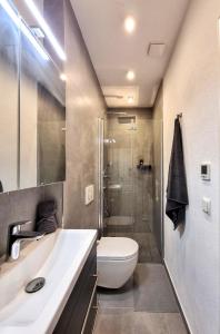ein Bad mit einem Waschbecken, einem WC und einer Dusche in der Unterkunft Modernes Apartment im Zentrum von Karlsruhe in Karlsruhe