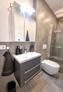 bagno con lavandino, doccia e servizi igienici di Modernes Apartment im Zentrum von Karlsruhe a Karlsruhe
