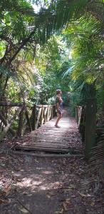 Gallery image of Pajarito Eco-Lodge frente al mar in Cedro +62 photos