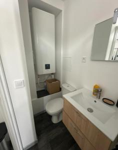 a bathroom with a toilet and a sink and a mirror at Appart cocooning in Saint-Germain-des-Fossés