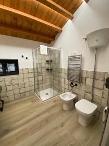 uma casa de banho com um WC e uma cabina de duche em vidro. em Emerald Apartment em Valmontone