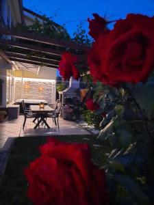 a view of a patio with a table and red roses at Apartment Bella Rosa in Koper
