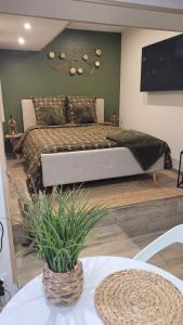 Un dormitorio con una cama y una mesa con una planta en Ô Plaisir Ô Désir, en Étaples