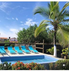 um grupo de cadeiras e uma palmeira ao lado de uma piscina em Manglearena em Tolú