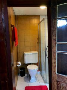 a small bathroom with a toilet and a shower at Valdivia Base Camp-Estudio Privado in Valdivia