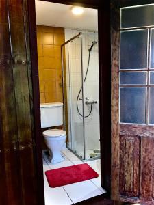 a bathroom with a toilet and a glass shower at Valdivia Base Camp-Estudio Privado in Valdivia