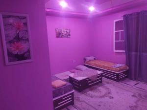 fioletowy pokój z 2 łóżkami i oknem w obiekcie Bel appartement w mieście El Kala