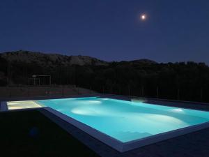 een groot blauw zwembad 's nachts met de maan bij Agriturismo Lu Branu in Arzachena