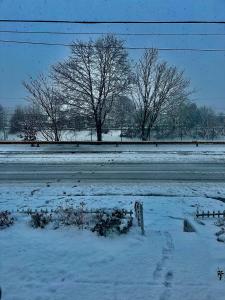 un campo cubierto de nieve con árboles en el fondo en Cozy well- appointed apartment on Mas & Ri line, en Pawtucket