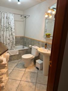 a bathroom with a toilet and a sink and a shower at La Fusteria del Casat in Sarroca de Bellera
