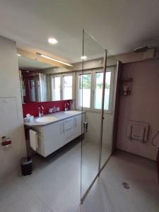 een badkamer met een wastafel en een glazen douche bij Haus im Rietle in Schaan