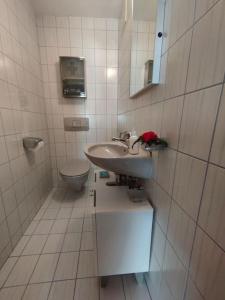 een badkamer met een wastafel en een toilet bij Haus im Rietle in Schaan