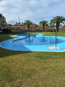 uma grande piscina num parque com palmeiras em Acogedor vistas piscina y Teide em Santa Úrsula