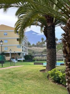 uma palmeira num parque ao lado de um edifício em Acogedor vistas piscina y Teide em Santa Úrsula