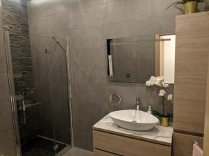 een badkamer met een wastafel en een douche bij Gaia St Paul's Bay Modern Cosy Apartment in St Paul's Bay