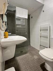 a bathroom with a sink and a toilet at MANZANO PALACE. Apartamentos con Terraza in Almagro