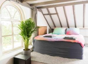 ein Schlafzimmer mit einem Bett und einer Topfpflanze in der Unterkunft Farmhouse, Jacuzzi, Sauna, BBQ grill & Garden, Sleeps 24 in Kockengen