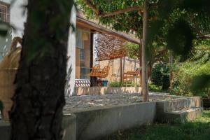 A garden outside Casa Flora