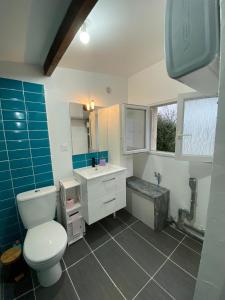 ein Bad mit einem WC und einem Waschbecken in der Unterkunft studio 20 min aéroport CDG in Othis