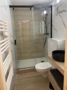 a bathroom with a toilet and a glass shower at Chalet Lou Via location in Abondance
