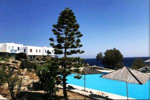 a view of a pool with a pine tree next to it at Beachside Double Storey maisonette with pool in Mikonos