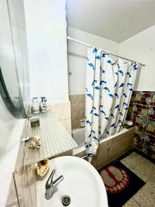 uma casa de banho com um lavatório e um chuveiro em Appartement Lallaty em Rabat