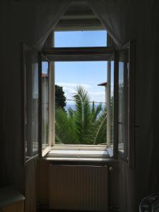 Príroda v okolí apartmánu