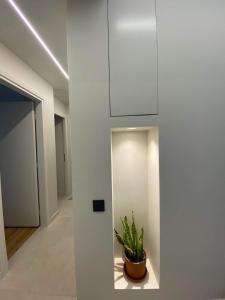 a hallway with white walls and a potted plant at Sapfo Luxury Apartment in Athens in Athens