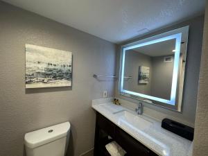 Koupelna v ubytování Comfort Inn Dallas North Love Field Airport