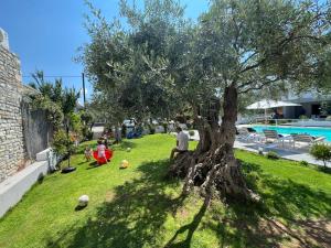 Fotografie z fotogalerie ubytování Thassos OLIVIA RESORT v destinaci Potos
