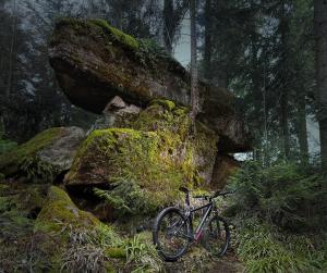 Jízda na kole v ubytování Sagenhafter Ausblick nebo okolí